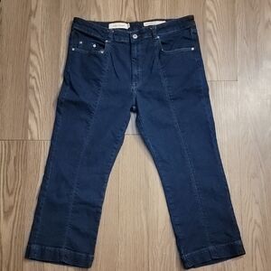 Pilcro and the Letterpress Anthripologie Jeans Size 32